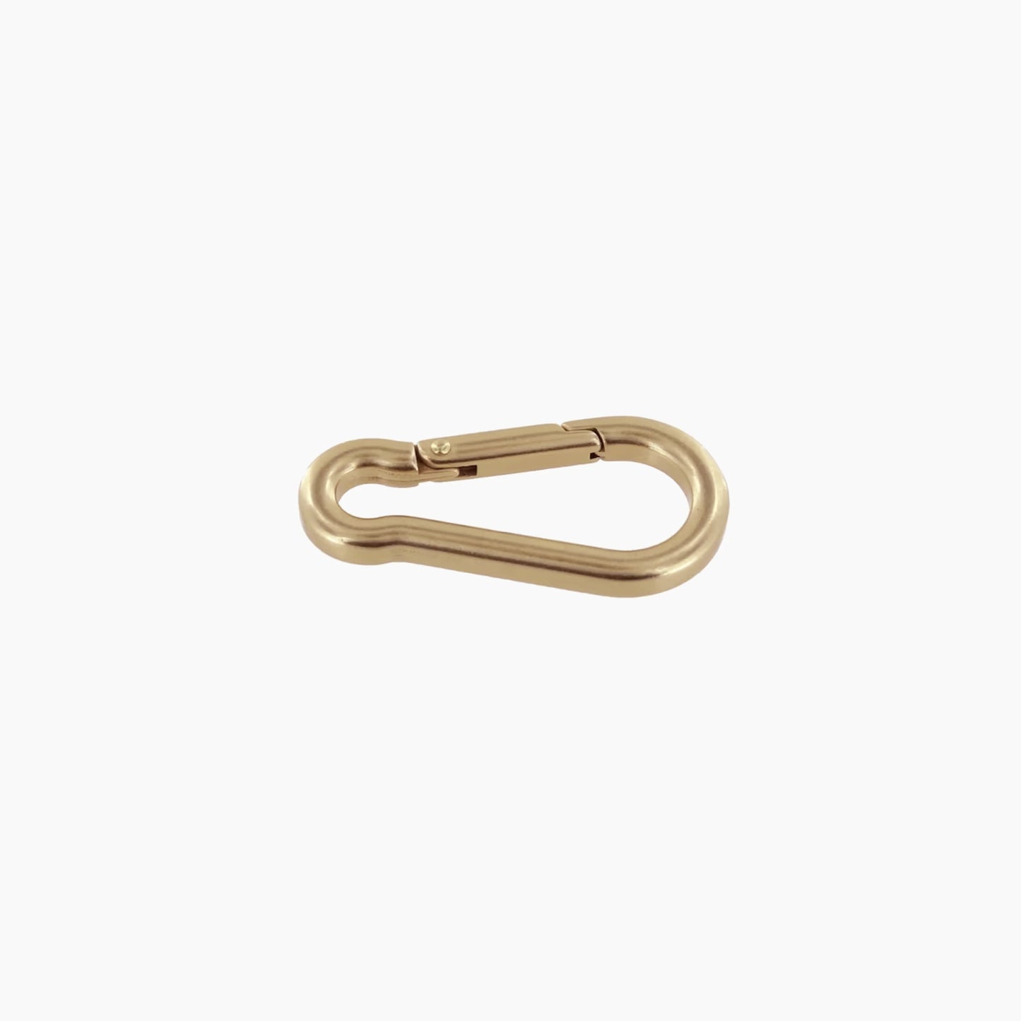 Todder Carabiner Keychain